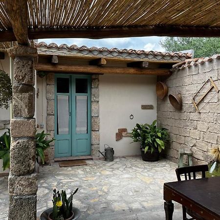 Graziosa Stanza Campidanese Su Terzu Guest House Oristano Bagian luar foto