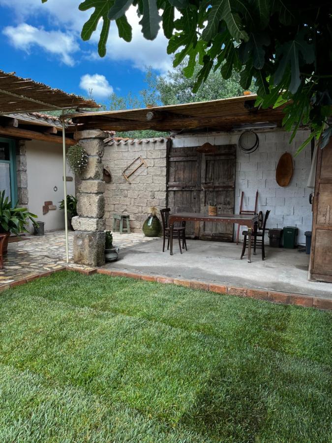 Graziosa Stanza Campidanese Su Terzu Guest House Oristano Bagian luar foto