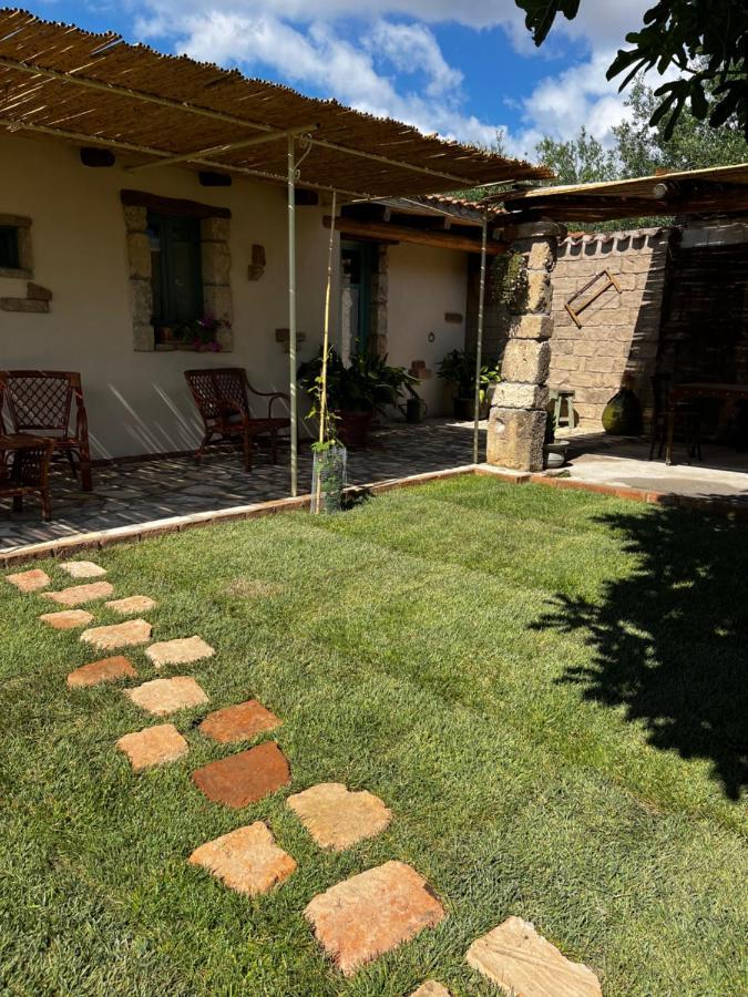 Graziosa Stanza Campidanese Su Terzu Guest House Oristano Bagian luar foto